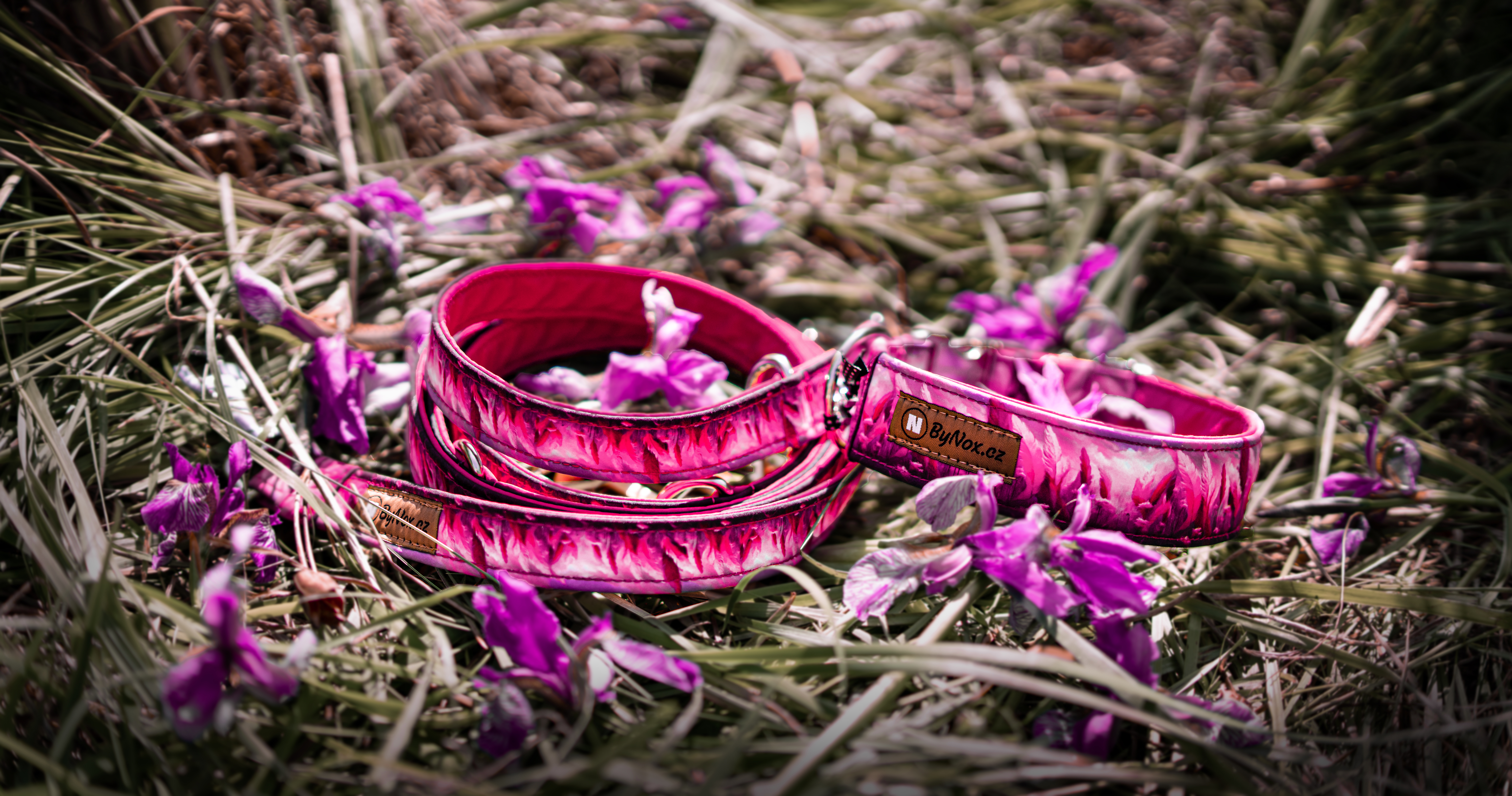 Reklamní a produktové fotografování psů-By nox kolekce Pink paradise - Wolves Photographers  (4)